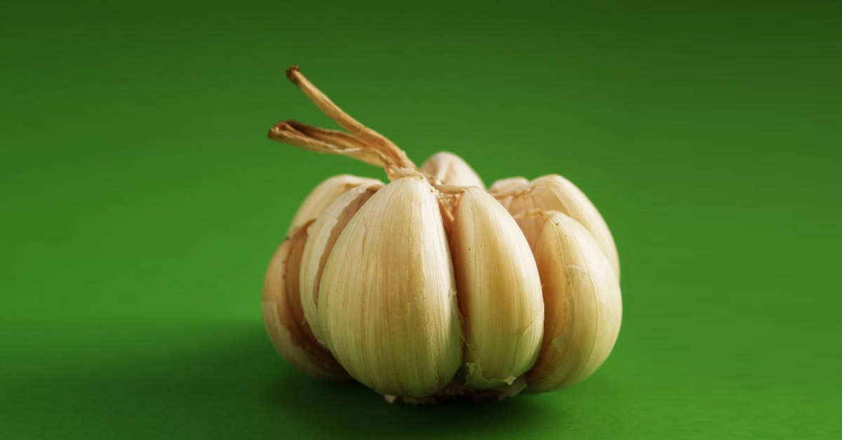Garlic