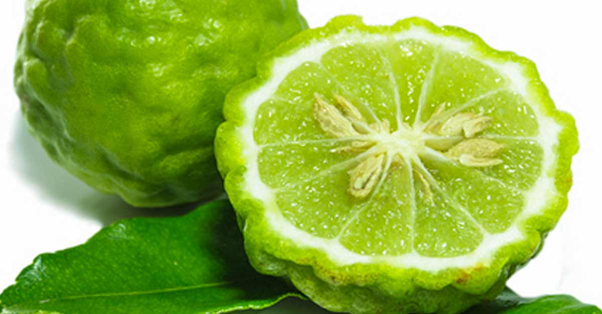 Bergamot