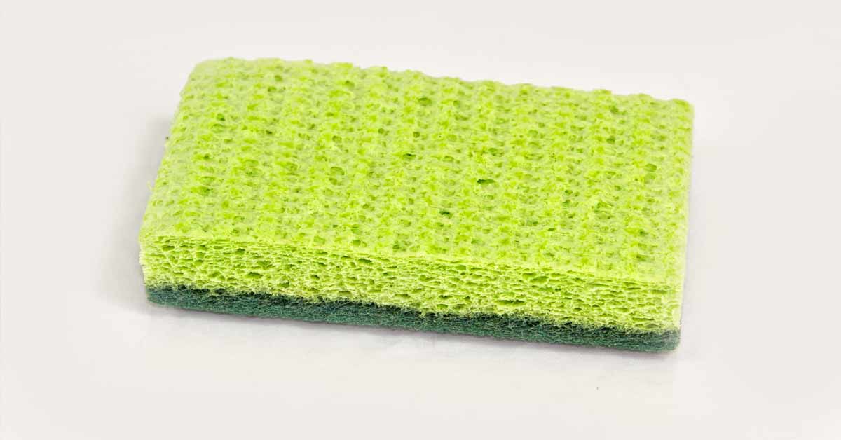 Sponge