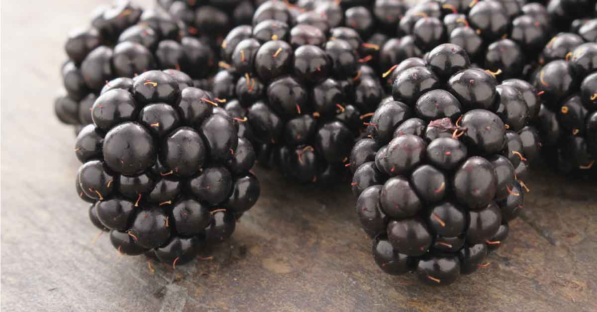 blackberries